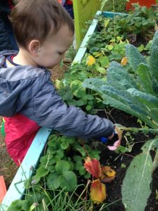 The Calthorpe Project - child gardening 