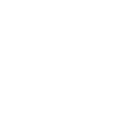 person with tick next to body