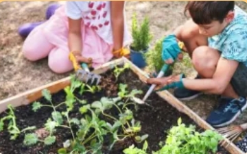 Children tending plant bed