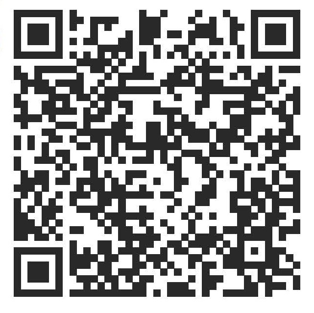Young peoples plans survey QR code
